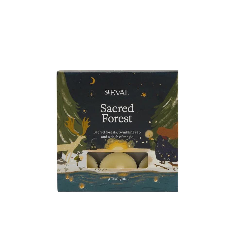 St Eval Tealights Christmas Sacred Forest
